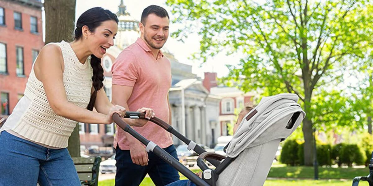 UPPAbaby Vista V2: A Complete Guide to the Premium Baby Stroller  NINI and  LOLI