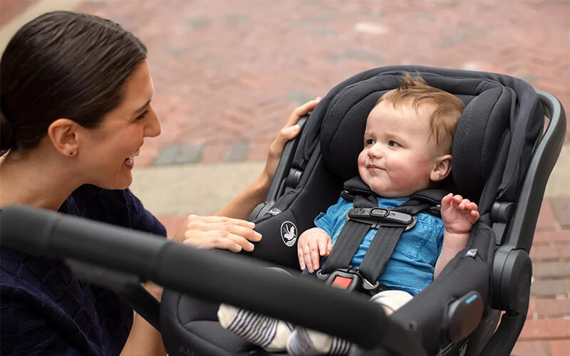 UPPAbaby MESA Max vs MESA V2 Comprehensive Comparison - NINI and LOLI