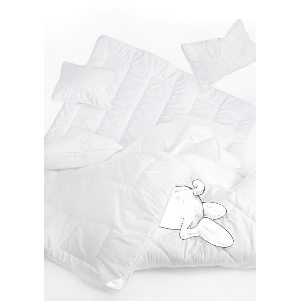Hypoallergenic Duvet and Pillow Set