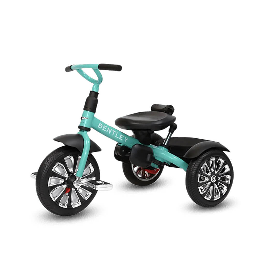 Tricycle Mulliner 6 in 1