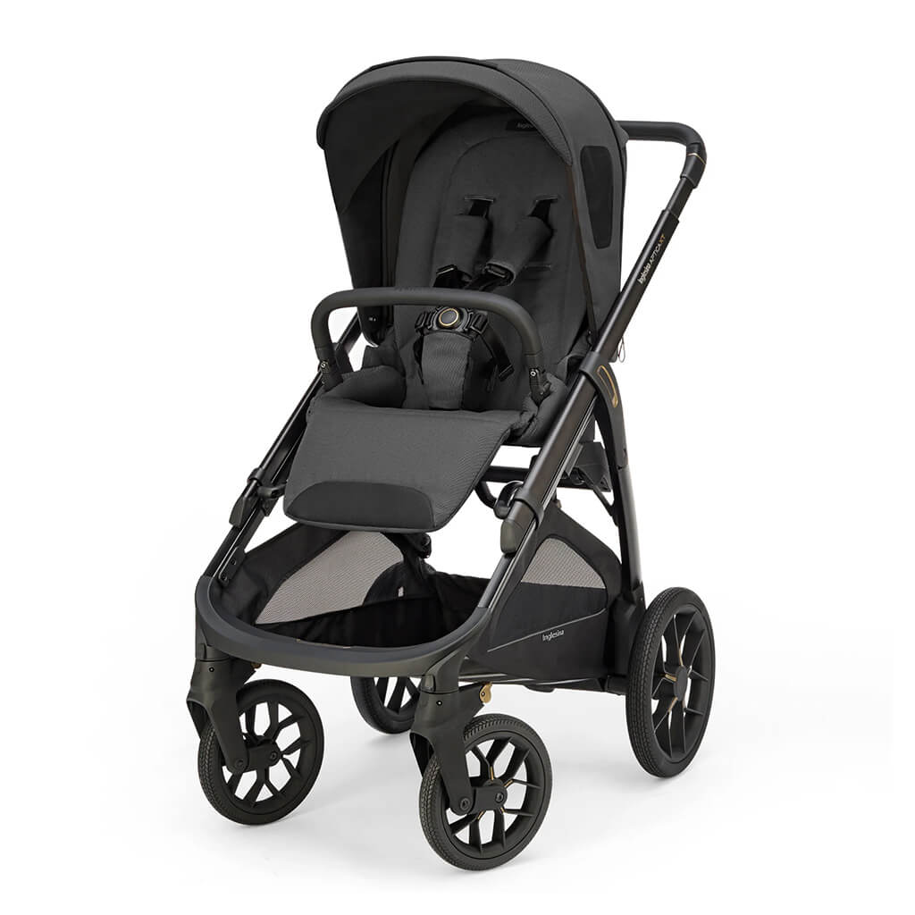 Color_Magnet Gray | Aptica XT Complete Stroller + Bassinet + Stand | NINI and LOLI