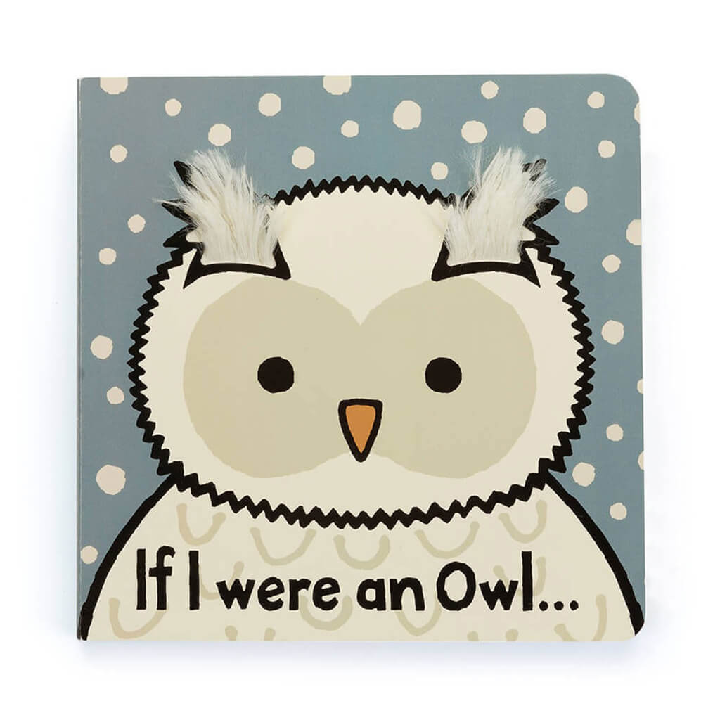 If I Were an Owl Book