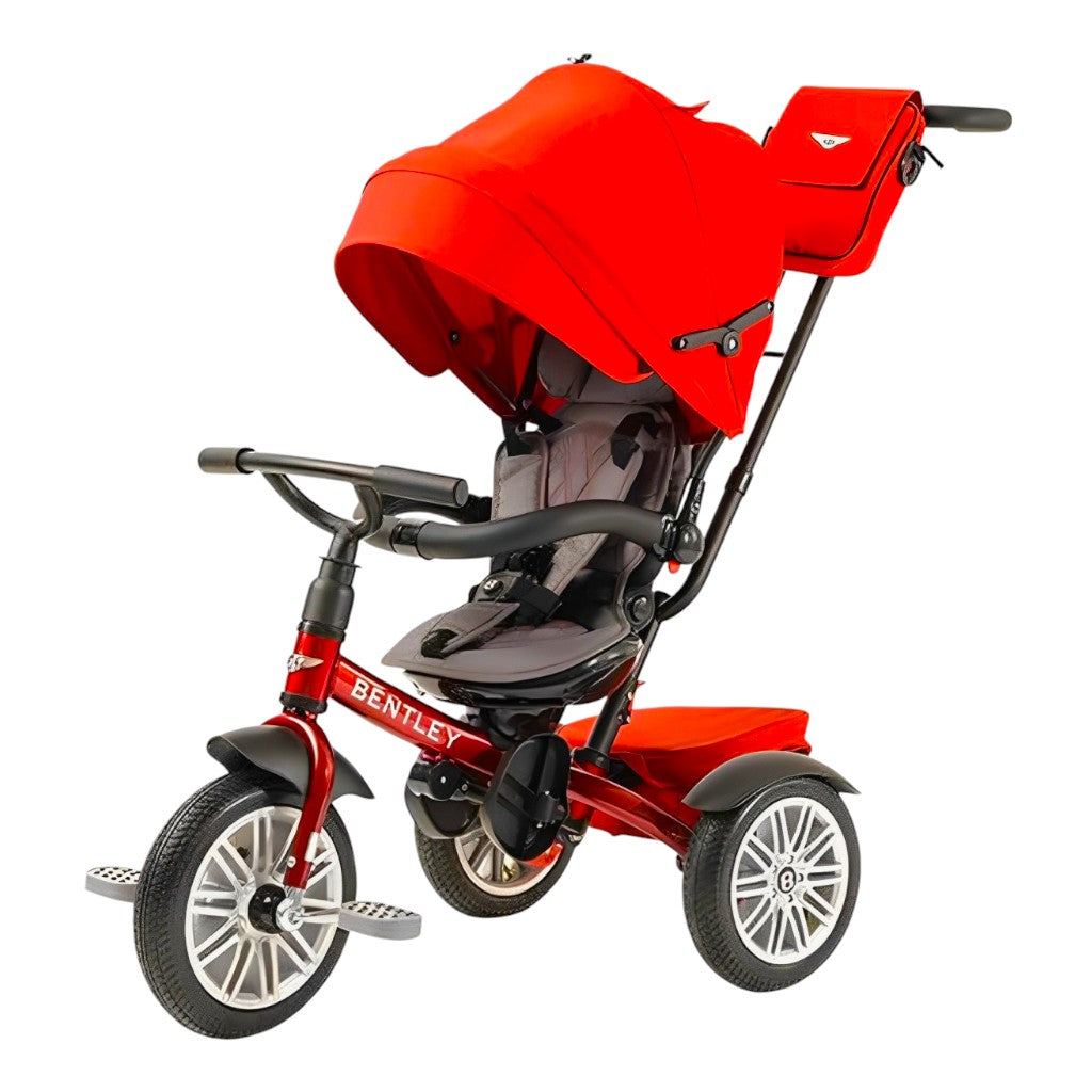 Color_Dragon Red| 6 in 1 Stroller Tricycle | NINI and Loli Altex