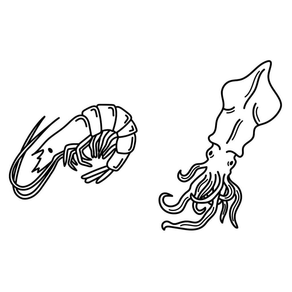 My First Big Book of Undersea Creatures