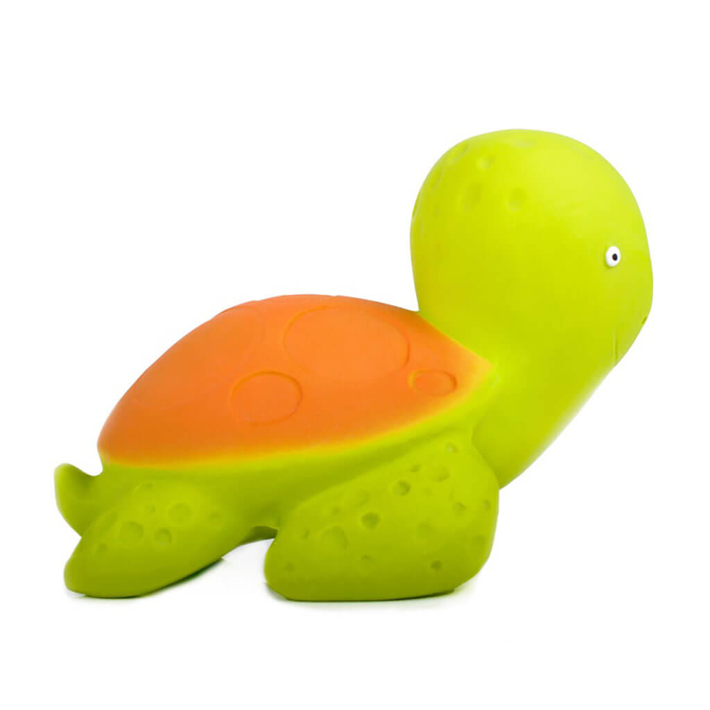 Bath Toy Sea Turtle