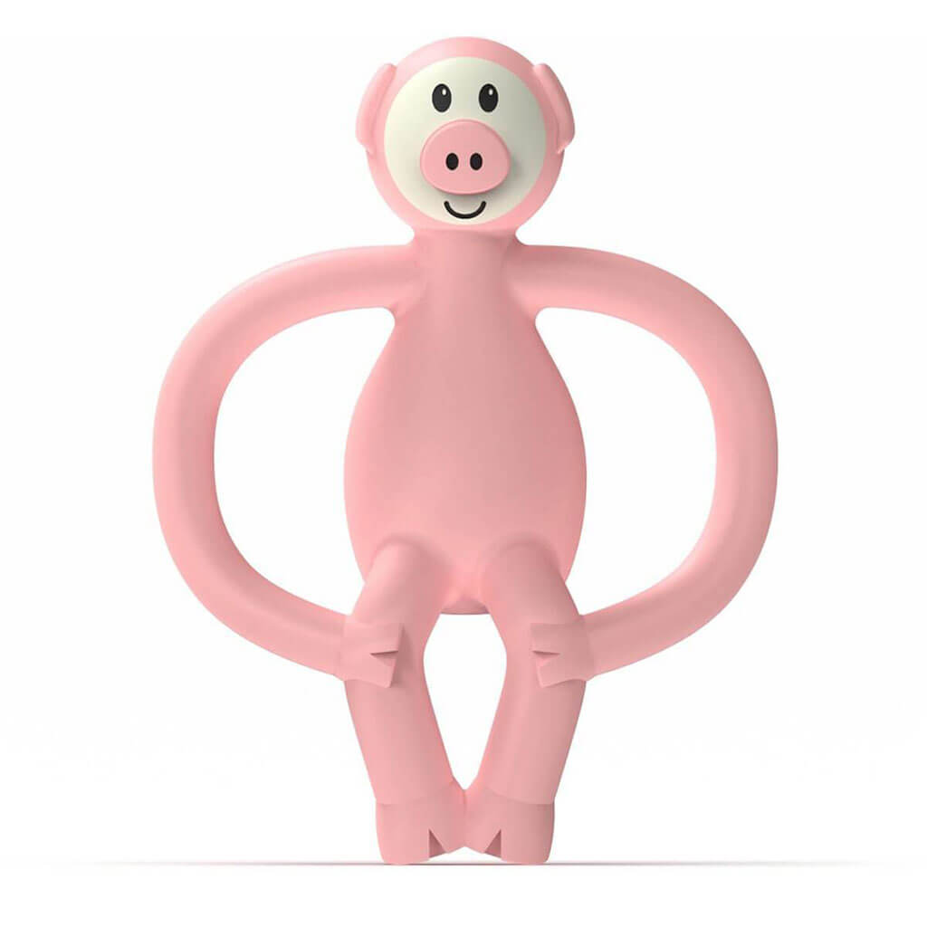 Teething Toy Pickle Pig