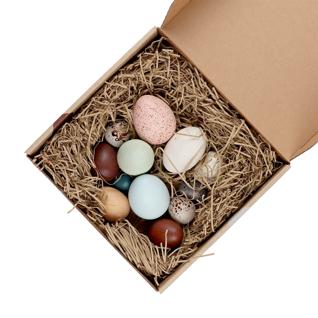 A Dozen Bird Eggs in a Box Toy