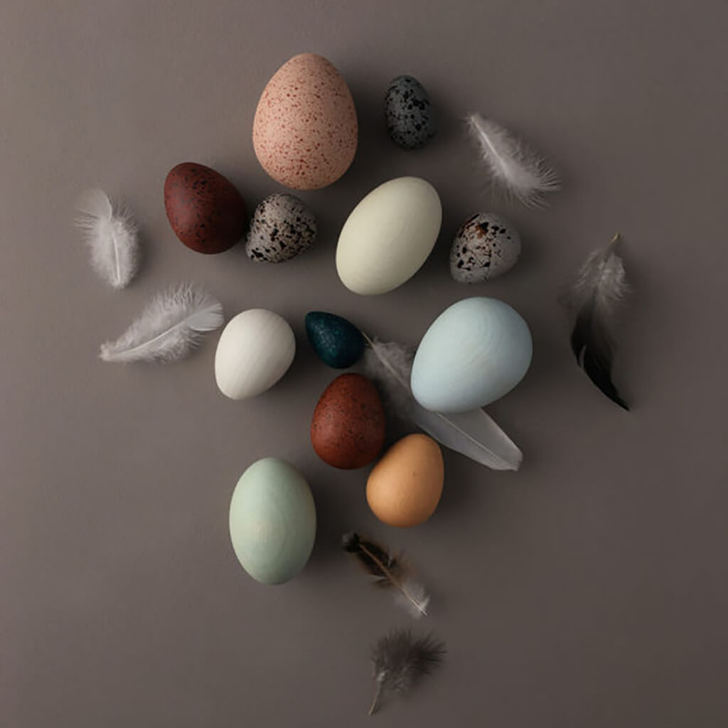 A Dozen Bird Eggs in a Box Toy