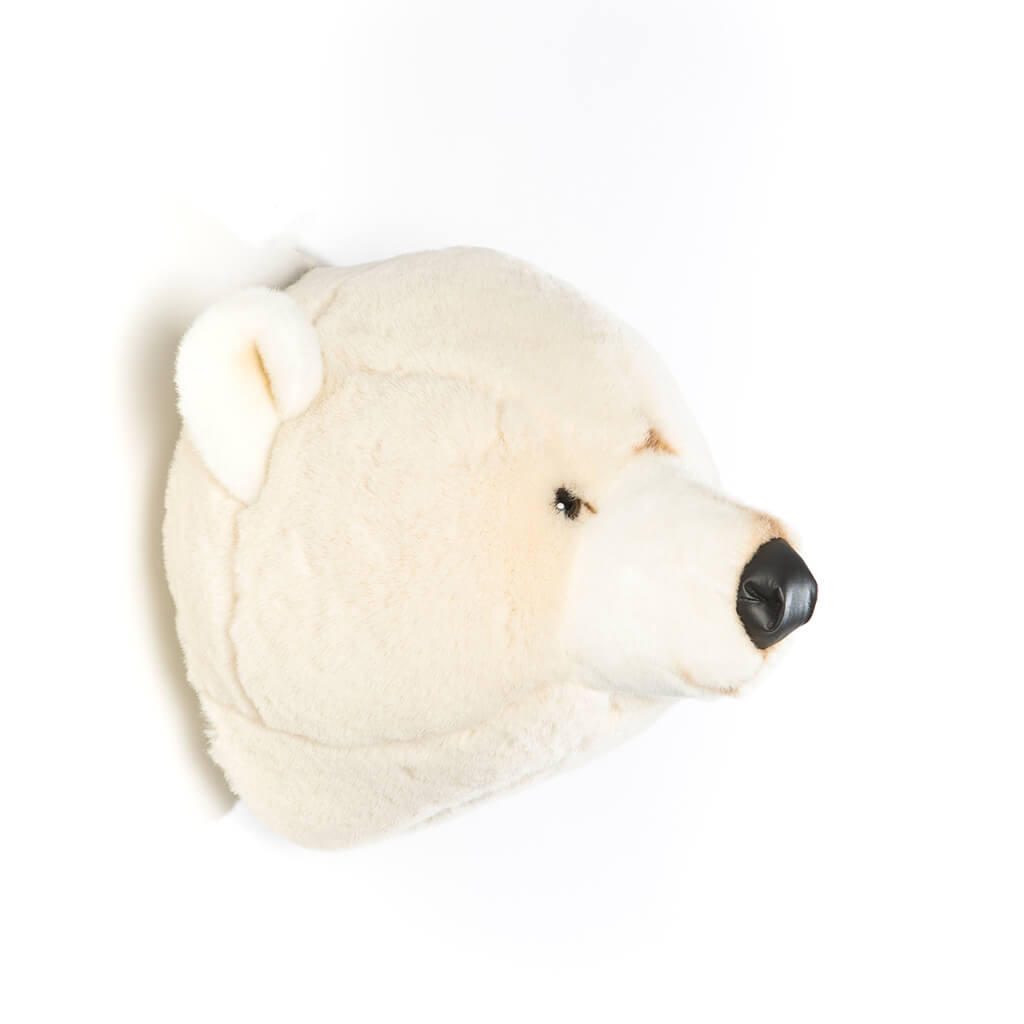 Polar Bear Basile